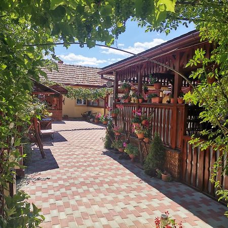 Готель Casa Dana Хацег Екстер'єр фото